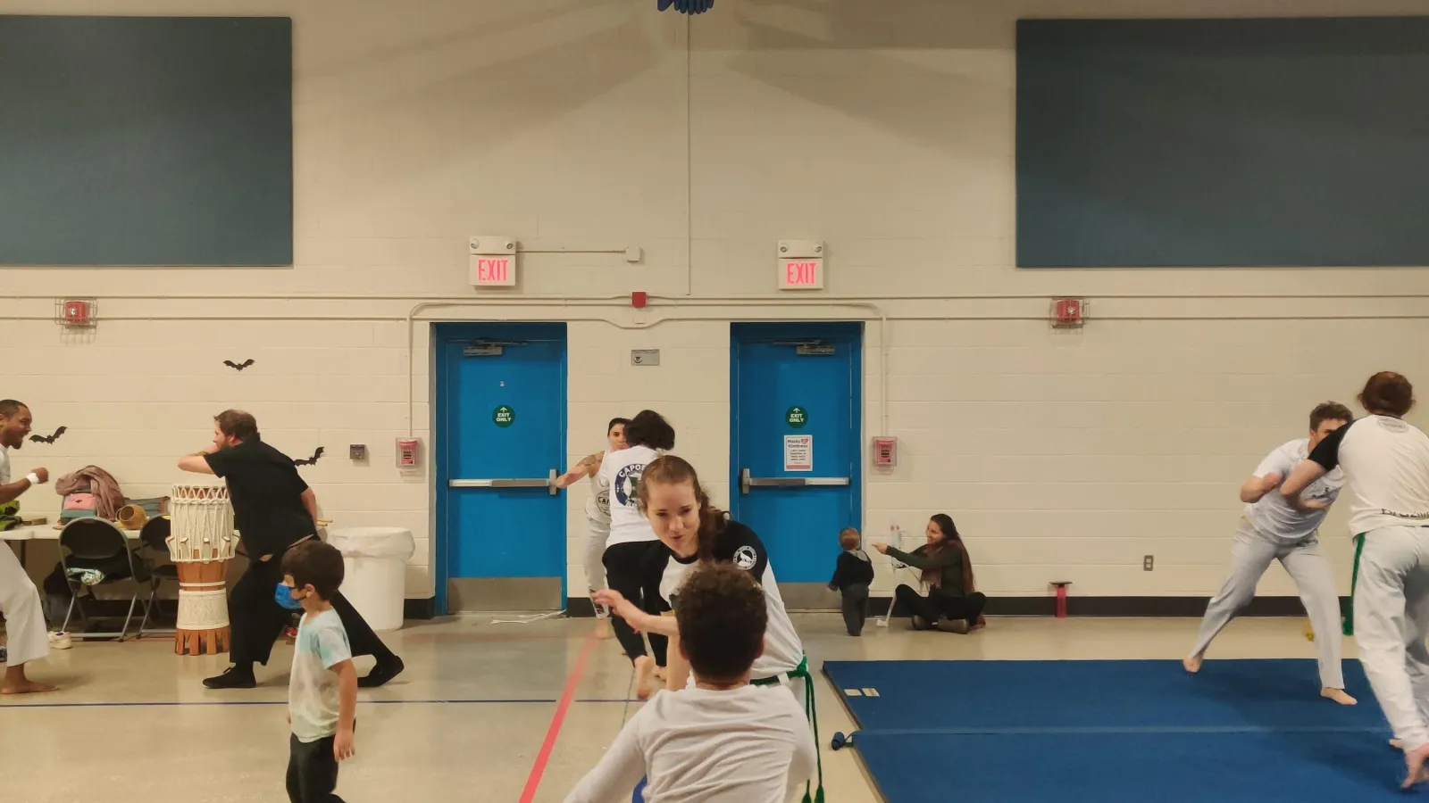 Capoeira kick